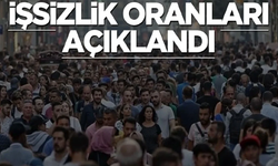 Aralık ayı işsizlik rakamları açıklandı