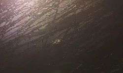 Trabzonspor takım otobüsüne Samsun'da taşlı saldırı!