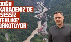 Doğu Karadeniz'de 'Sessiz tehlike' ürkütüyor