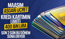 Kredi kartı limitleri yeniden belirleniyor! 2 gün kaldı