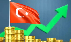 IMF: Türkiye’nin dezenflasyon programı başarı gösteriyor