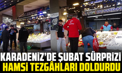 Karadeniz’de Şubat Sürprizi: Hamsi Tezgâhları Doldurdu