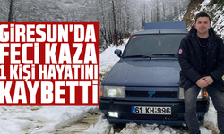 Giresun'da Feci Kaza: 1 kişi hayatını kaybetti