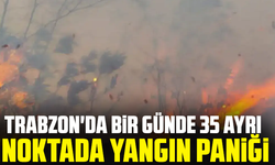 Trabzon'da bir günde 35 ayrı noktada yangın paniği