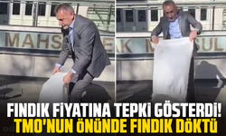 Fındık fiyatına tepki gösterdi! TMO'nun önünde fındık döktü