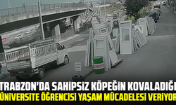 Trabzon'da sahipsiz köpeğin kovaladığı üniversite öğrencisi yaşam mücadelesi veriyor