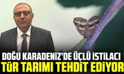 Doğu Karadeniz’de üçlü istilacı tür tarımı tehdit ediyor