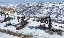 4 il, Türkiye'nin petrol üretiminin yüzde 28'ini karşılıyor