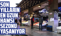 Son yılların en uzun hamsi sezonu yaşanıyor