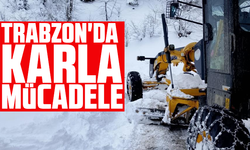 Trabzon'da karla mücadele sürüyor
