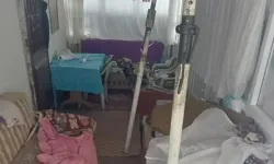 Sis Dağı’nda ayı kabusu! Yayla evlerine girip ortalığı dağıttılar