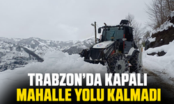 Trabzon’da kapalı mahalle yolu kalmadı