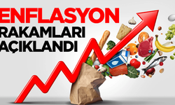 Şubat ayı enflasyon rakamları açıklandı