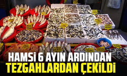 Hamsi 6 ayın ardından tezgahlardan çekildi