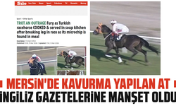 Mersin'de kavurma yapılan at, İngiliz gazetelerine manşet oldu