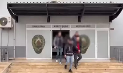 17 ilde dev dolandırıcılık operasyonu: 180 şüpheli yakalandı