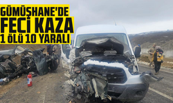 Gümüşhane'de feci kaza: 1 ölü, 10 yaralı