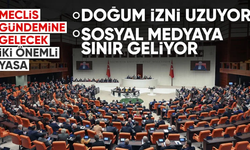 Meclis'in bu hafta gündemi yoğun