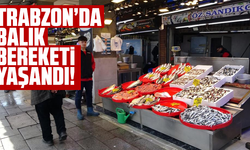 Trabzon’da Balık Bereketi Yaşandı!