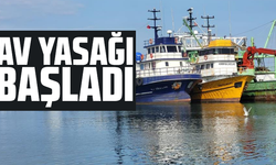 Av yasağı başladı