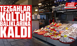 Tezgahlar kültür balıklarına kaldı