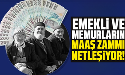 Emekli ve memurların maaş zammı netleşiyor!