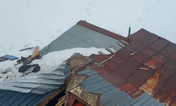 Gümüşhane yaylalarında ayı dehşeti devam ediyor