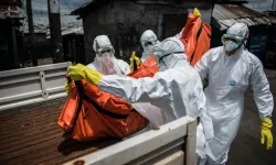 DSÖ'den Ebola alarmı: Salgın için 'Küresel Halk Sağlığı Acil Durumu' ilanı