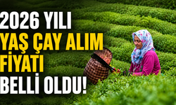 2026 yılı yaş çay alım fiyatı belli oldu