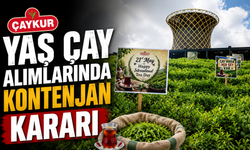 ÇAYKUR’dan yaş çay alımlarında kontenjan kararı