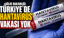 Sağlık Bakanlığı: Türkiye'de 'hantavirüs' vakası yok