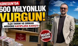 Giresun'da 600 milyonluk vurgun! İlçe Tarım ve Orman Müdürü kayıplara karıştı