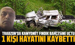 Trabzon’da kamyonet fındık bahçesine uçtu: 1 ölü