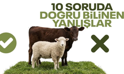 10 soruda kurban ibadeti: İşte doğru bilinen yanlışlar