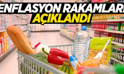Nisan ayı enflasyonu belli oldu