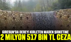 Giresun'da dereyi kirleten maden şirketine 2 milyon 517 bin TL ceza