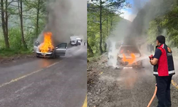 Artvin’de seyir halindeki otomobil alev alev yandı