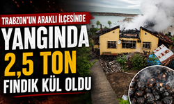 Trabzon'un Araklı ilçesinde yangında 2,5 ton fındık kül oldu