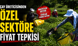Çay üreticisinden özel sektöre fiyat tepkisi
