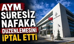 AYM, süresiz nafaka düzenlemesini iptal etti