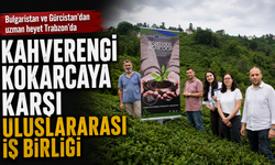 Kahverengi Kokarcaya Karşı Uluslararası İş Birliği