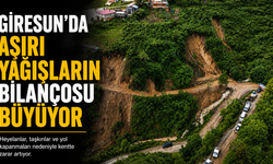 Giresun’da aşırı yağışların bilançosu büyüyor