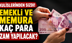 Kulislerinden sızdı! Emekli ve memura kaç para zam yapılacak?