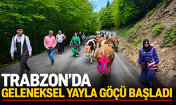Trabzon'da geleneksel yayla göçü başladı