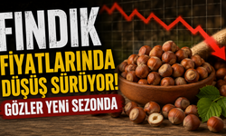 Fındık fiyatlarındaki düşüş sürüyor: Gözler yeni sezonda