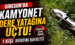 Giresun’da kamyonet dere yatağına uçtu: 1 kişi hayatını kaybetti