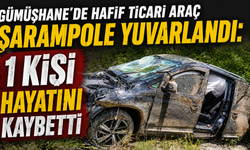 Gümüşhane'de hafif ticari araç şarampole yuvarlandı: 1 kişi hayatını kaybetti