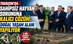 Trabzon’da Sahipsiz Hayvan Sorununa Kalıcı Çözüm: Doğal Yaşam Alanı Yapılıyor
