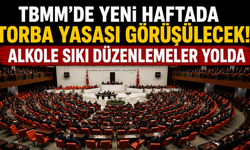 TBMM'de yeni haftada torba yasası görüşülecek: Alkole sıkı düzenlemeler yolda