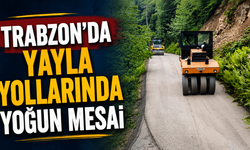 Trabzon'da yayla yollarında yoğun mesai
